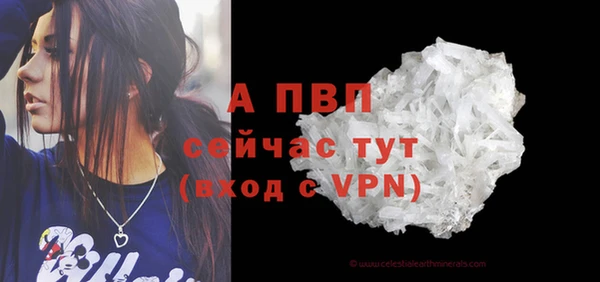 МДПВ Липки