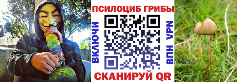 Псилоцибиновые грибы ЛСД  kraken вход  Эртиль 